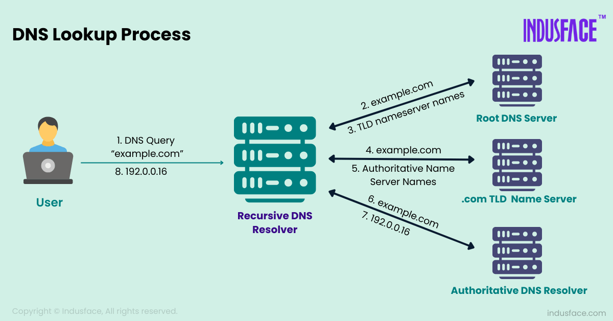 Domain Name System